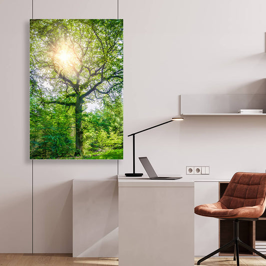 Akustikbild mit dem Motiv "tree of life". Ein Baum durch dessen Äste die Sonne scheint. Der Schallabsorber hängt in einem Büro mit weißen Wänden.
