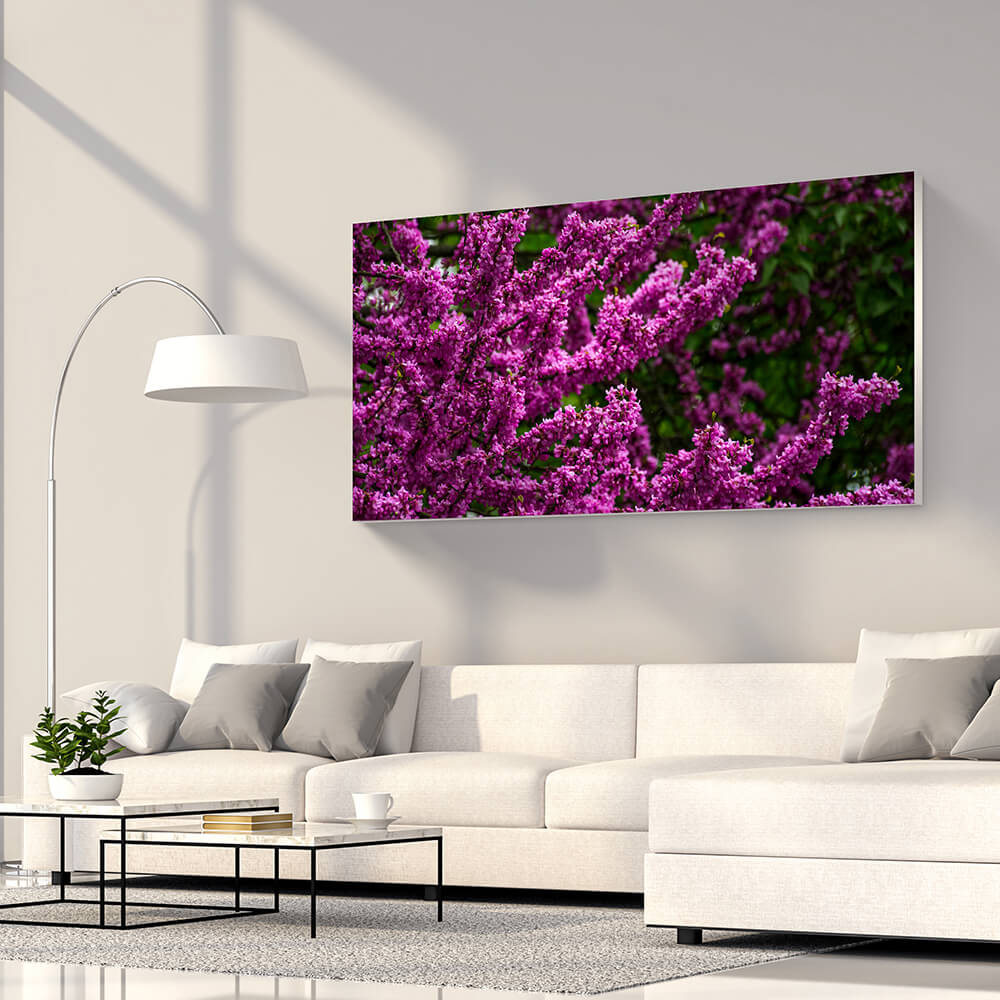 Rechteckiges Akustikbild magentafarbener Blüten an einem Baum, über einem weißen Sofa
