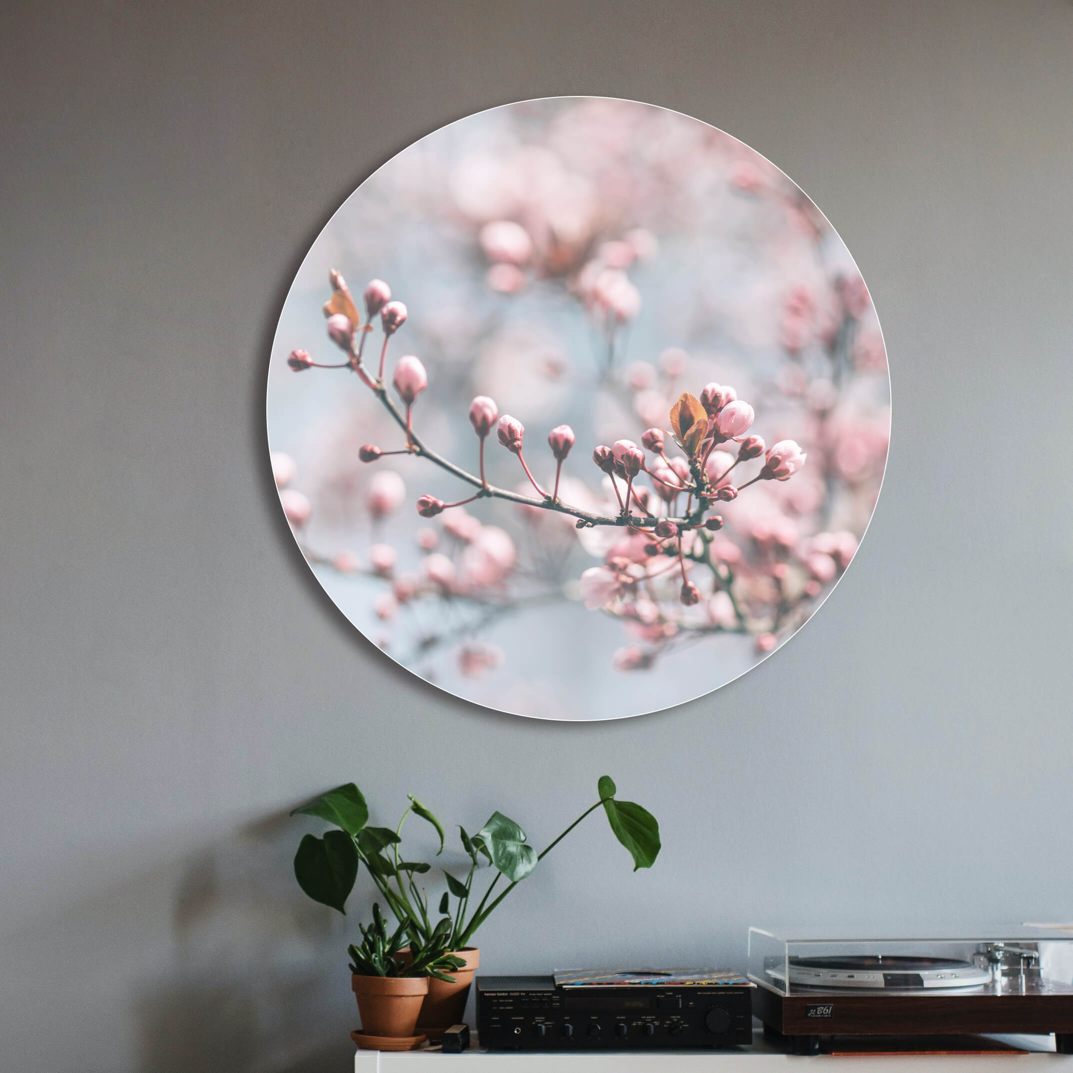 Rundes Akustikbild im Wohnzimmer mit Blüten als Motiv hängend an einer Wand vor einem Plattenspieler und Pflanzen