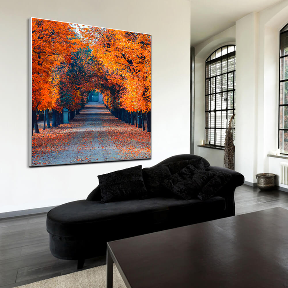 Quadratisches Akustikbild einer herbstlich gefärbten Allee hinter einem schwarzen Sofa