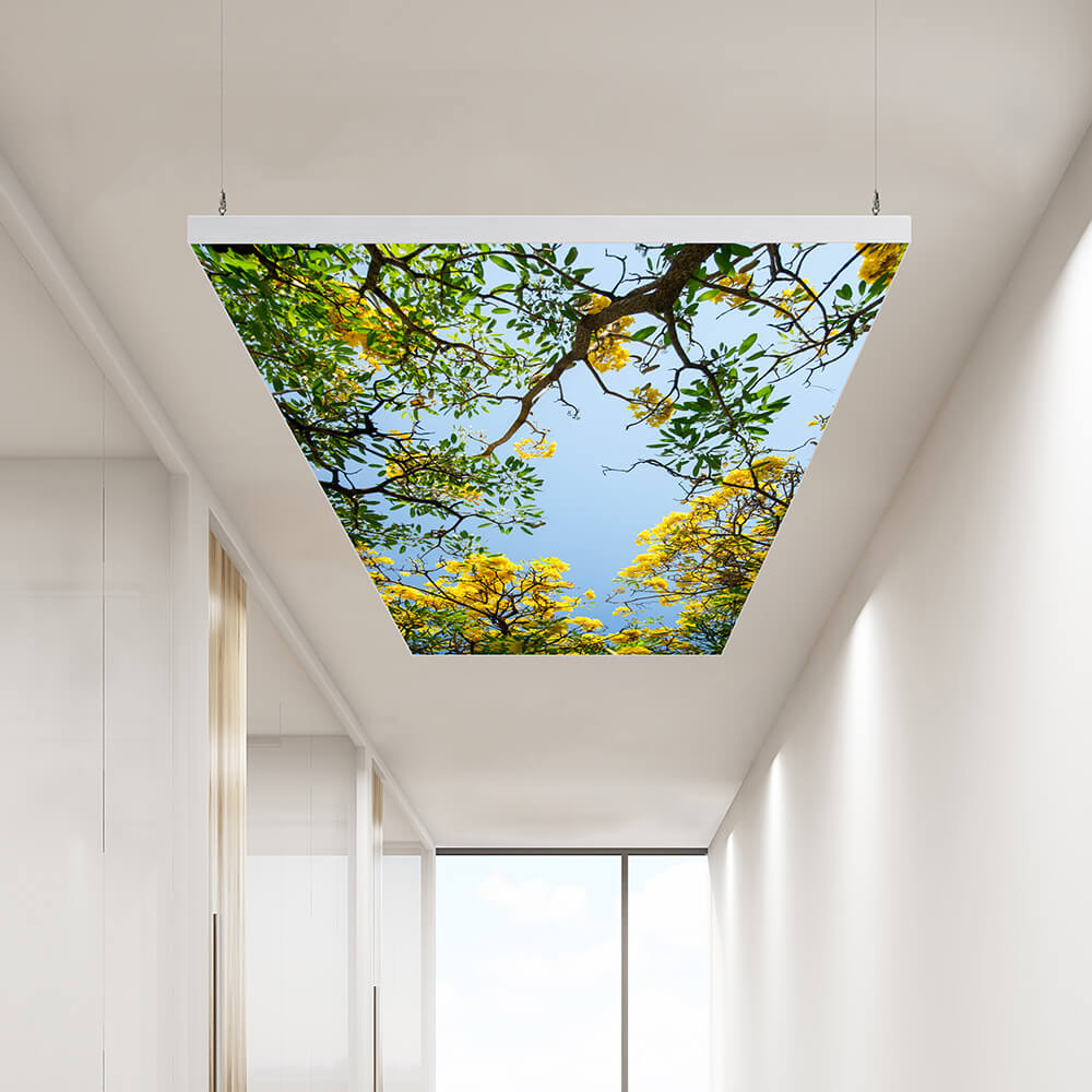 Acoustic ceiling sails 