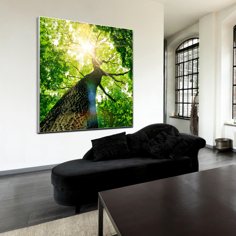Quadratisches Akustikbild eines Fotos einer Baumkrone aus der Froschperspektive in einem Wohnraum