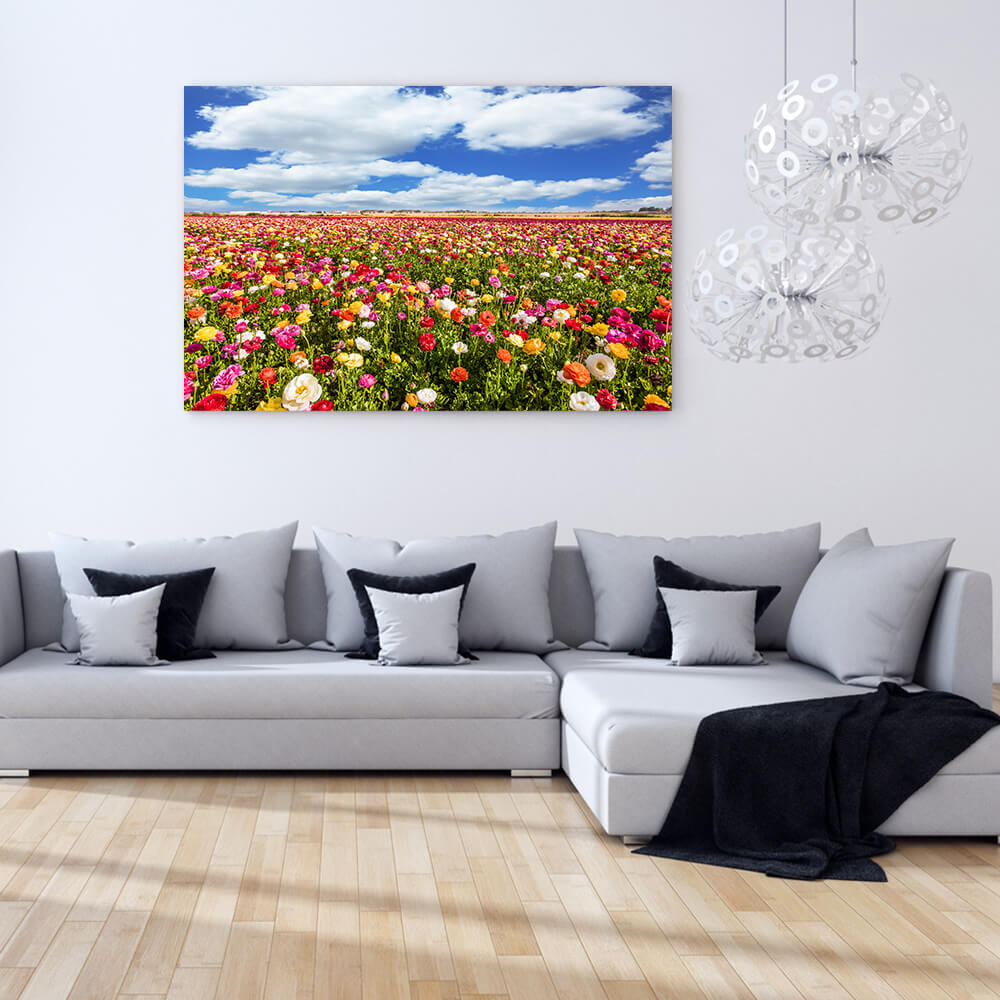 Rechteckiges Akustikbild einer Fotografie eines bunten Blumenfeldes über einem grauen Sofa