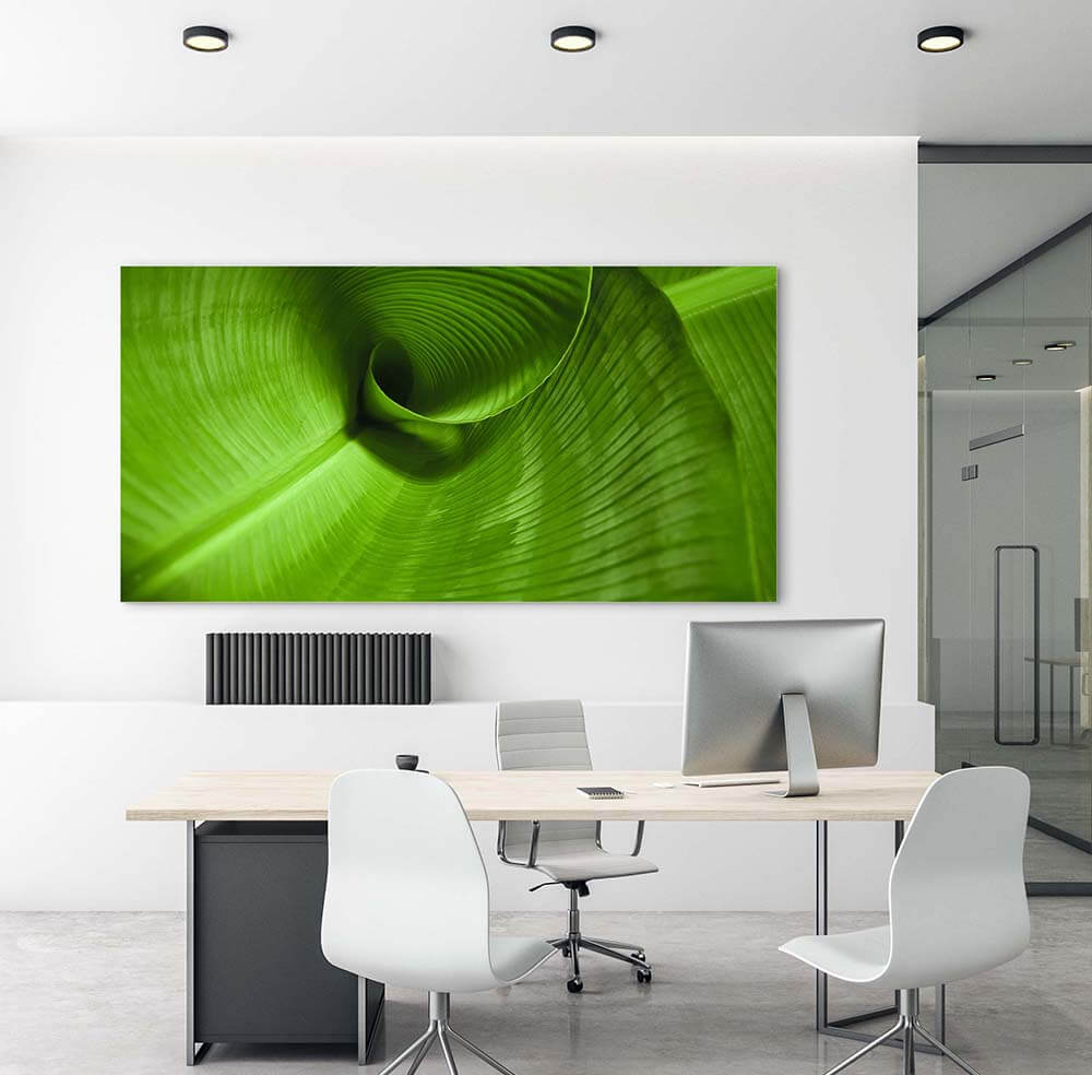 Rechteckiges Akustikbild einer Makroaufnahme eines eingerollten grünen Blattes, in einem Büro