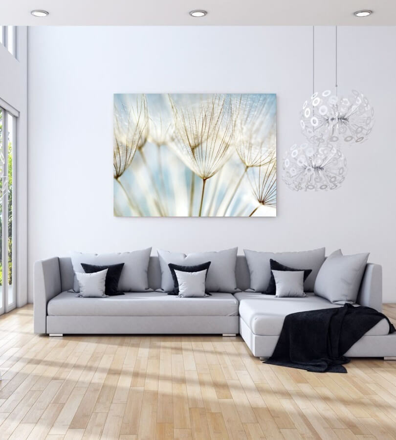 Rechteckiges Akustikbild mit Makroaufnahme einer Pusteblume, im Wohnzimmer über einem grauen Sofa 