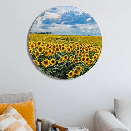 Rundes Akustikbild eines Sonnenblumenfeldes an weißer Wand