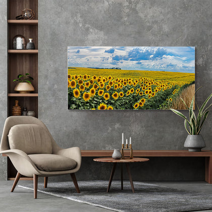 Rechteckiges Akustikbild eines Sonnenblumenfeldes an einer grauen Wand