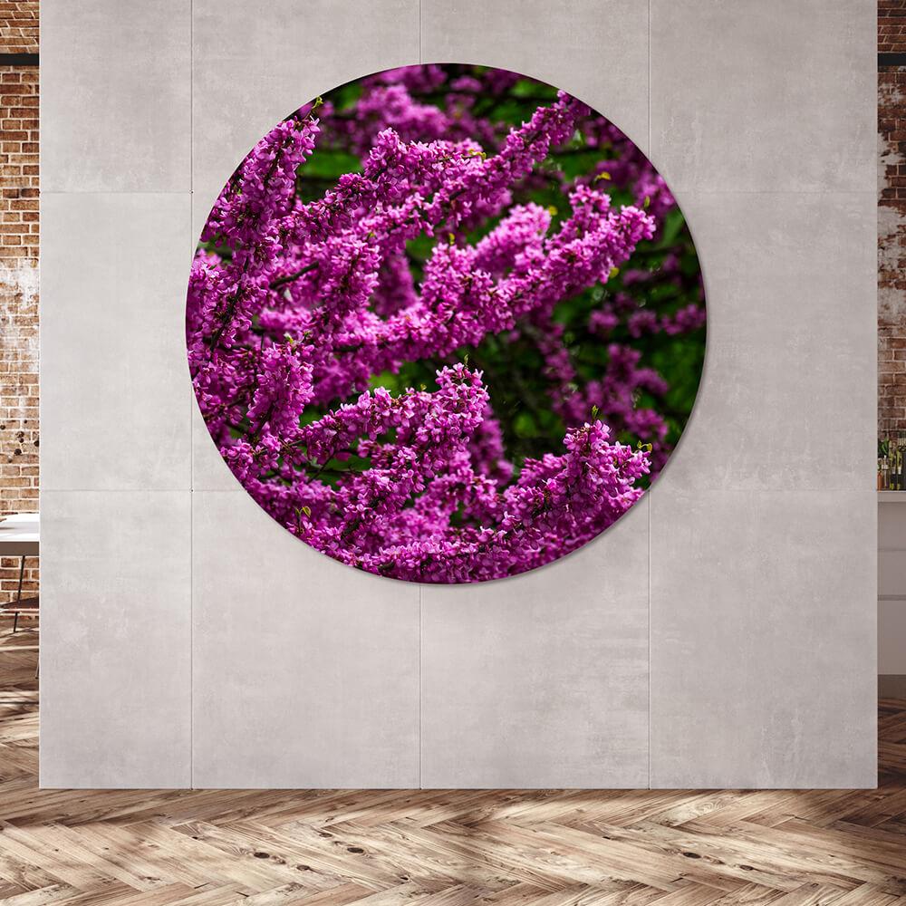 Akustikbild mit lila Blüten im rundem Format an einer grauen Wand