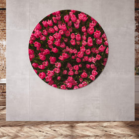 Rundes Akustikbild mit Tulpen Motiv auf grauem Hintergrund 