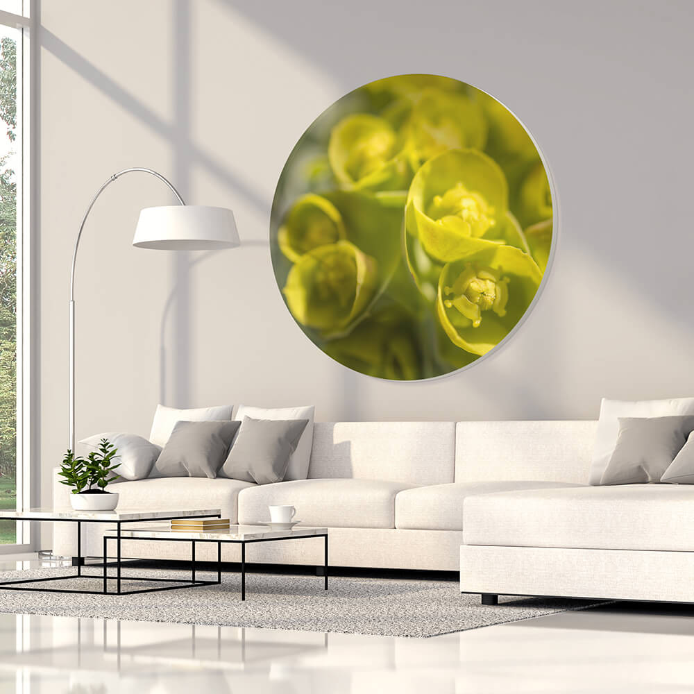 Rundes Akustikbild mit Makroaufnahme gelber Blüten über einem weißen Sofa