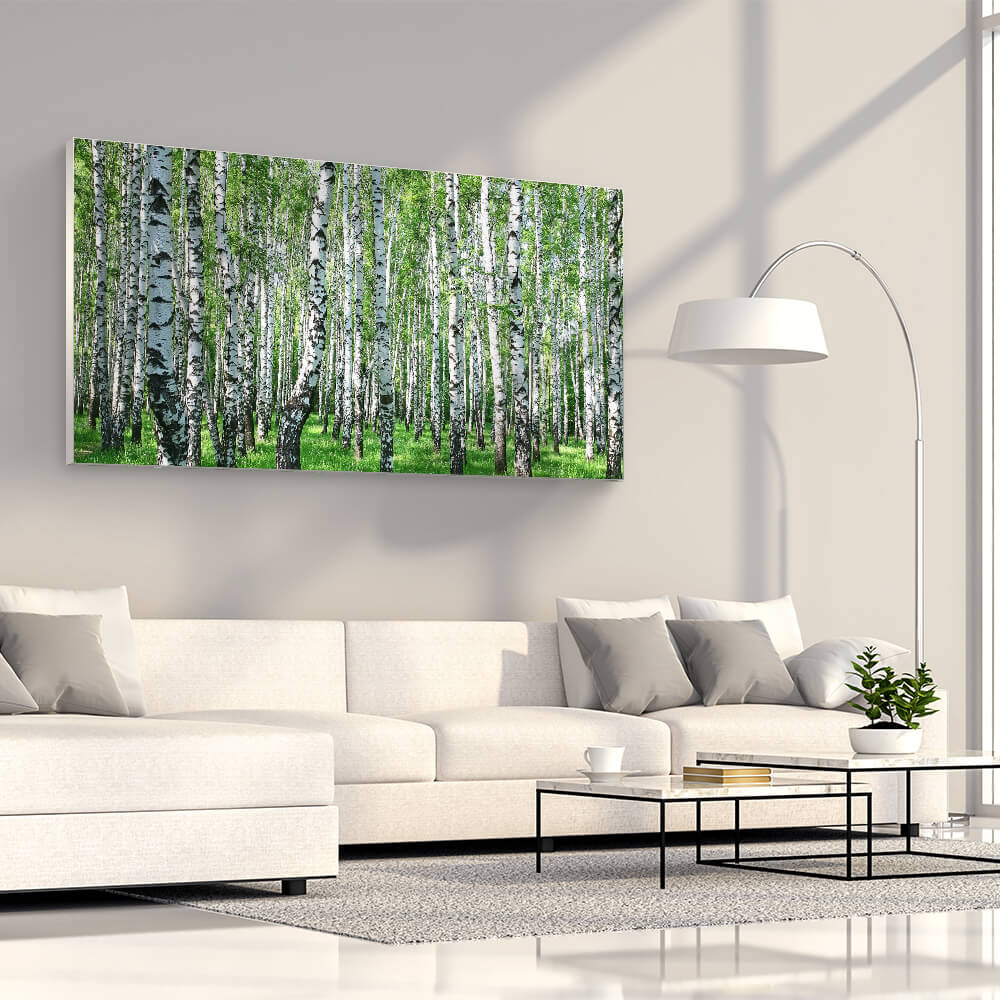Rechteckiges Akustikbild einer Fotografie eines Birkenwaldes über einem weißen Sofa