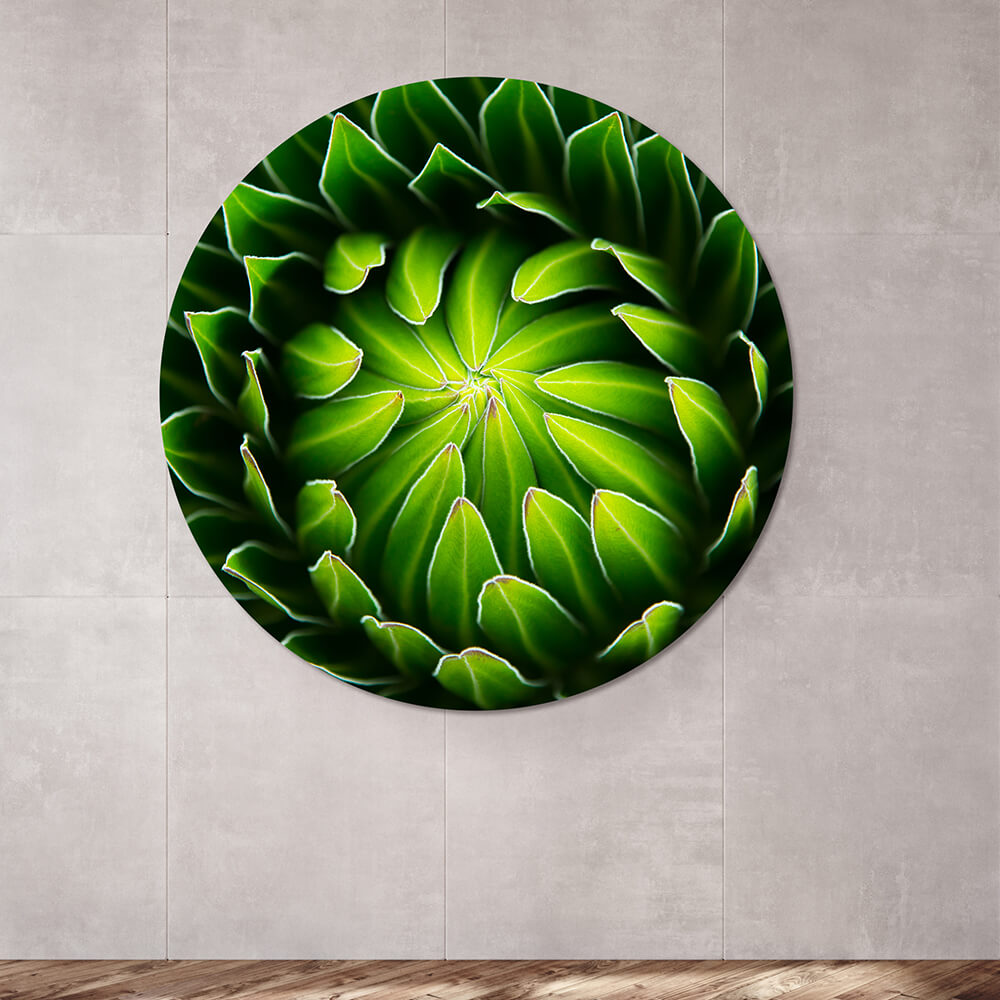 Rundes Akustikbild mit grünem Pflanzen Motiv  an der Wand hängend